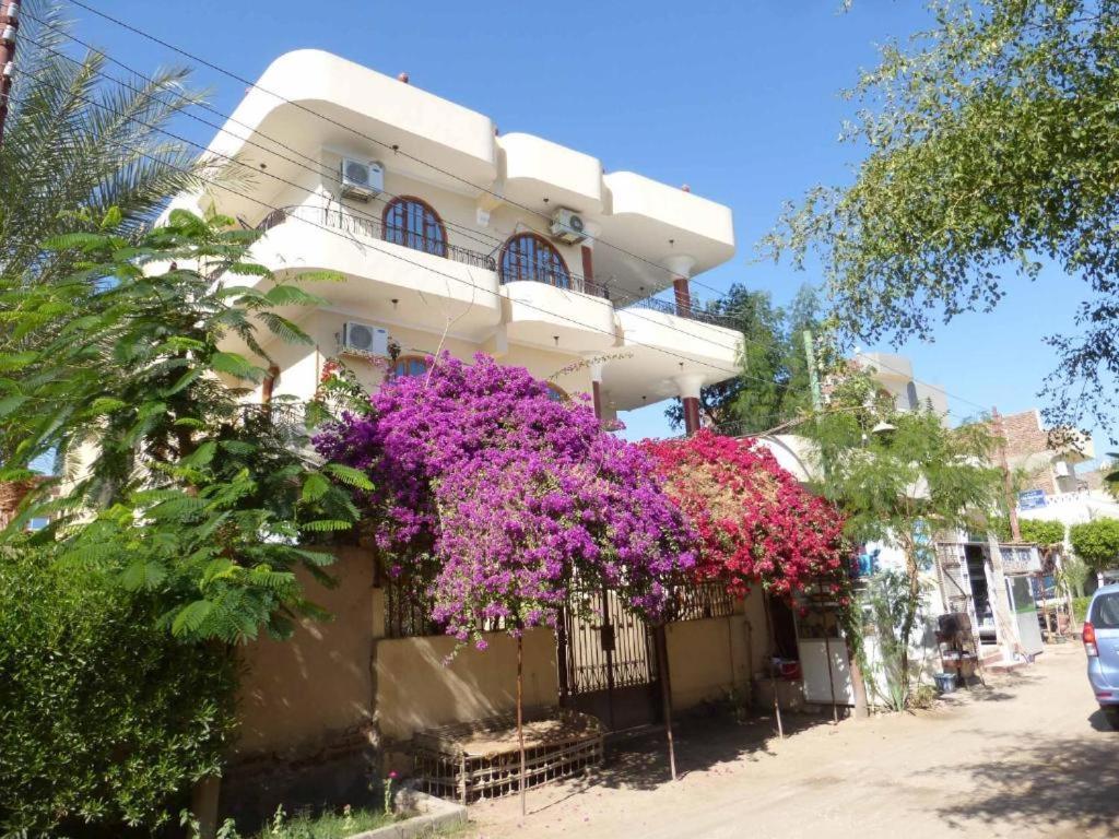 Appartement Nile View Panoramique And Garden West Bank à Louxor Extérieur photo