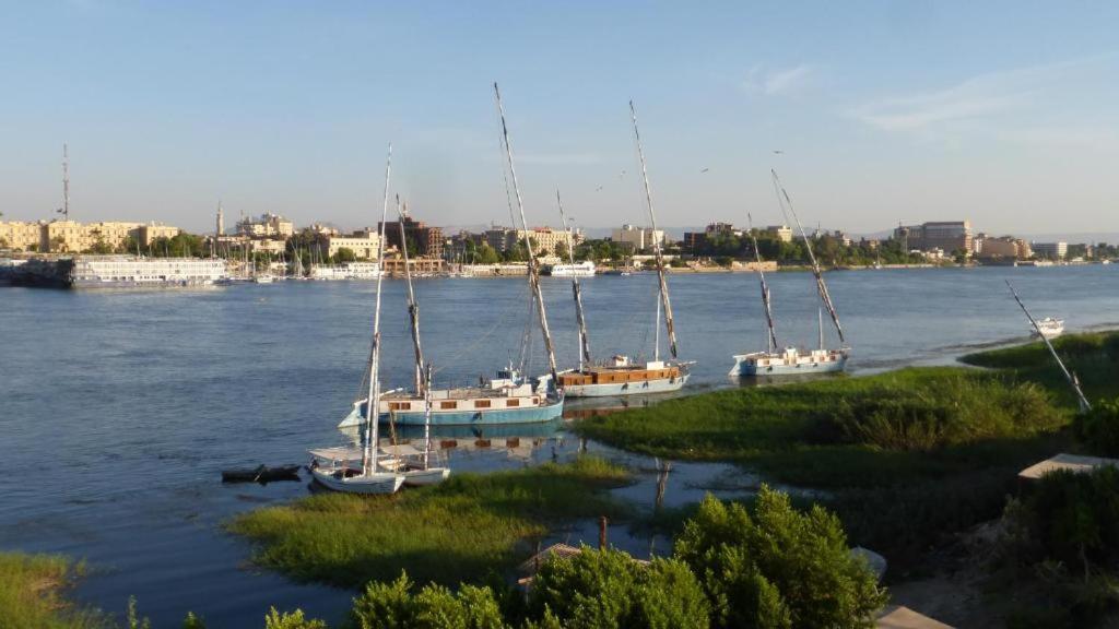 Appartement Nile View Panoramique And Garden West Bank à Louxor Extérieur photo