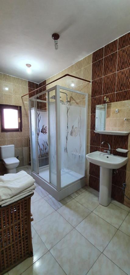 Appartement Nile View Panoramique And Garden West Bank à Louxor Extérieur photo