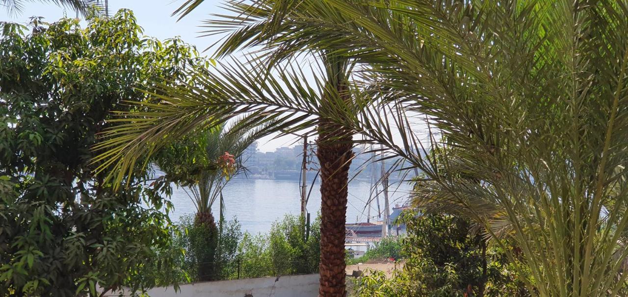 Appartement Nile View Panoramique And Garden West Bank à Louxor Extérieur photo